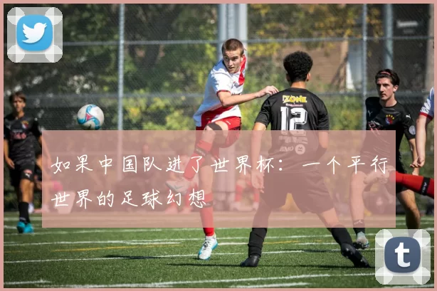 如果中国队进了世界杯：一个平行世界的足球幻想