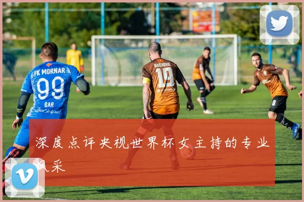 深度点评央视世界杯女主持的专业风采