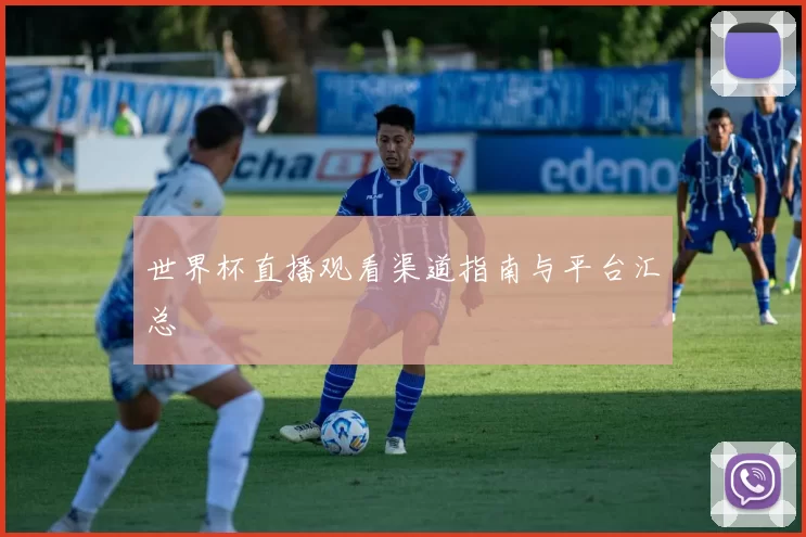 世界杯直播观看渠道指南与平台汇总