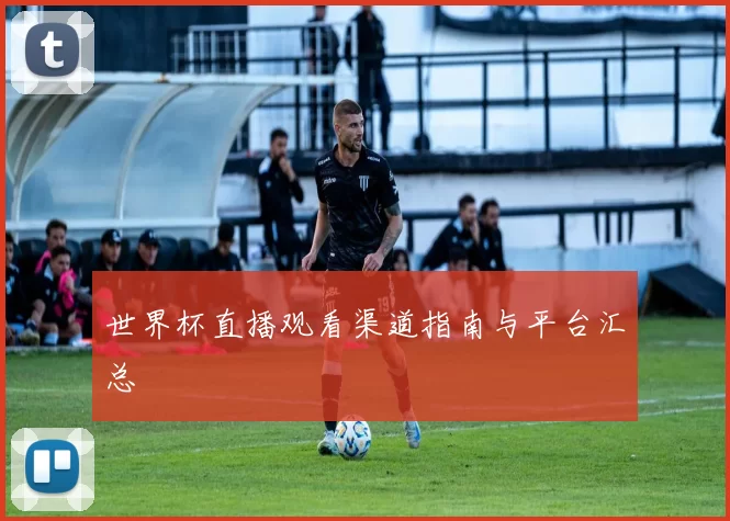 世界杯直播观看渠道指南与平台汇总