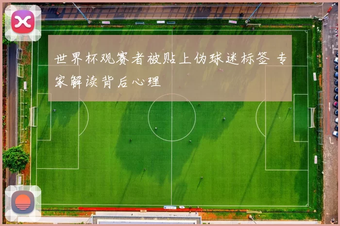 世界杯观赛者被贴上伪球迷标签 专家解读背后心理