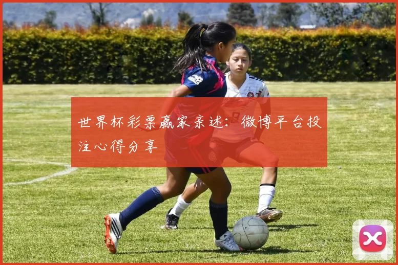 世界杯彩票赢家亲述:微博平台投注心得分享