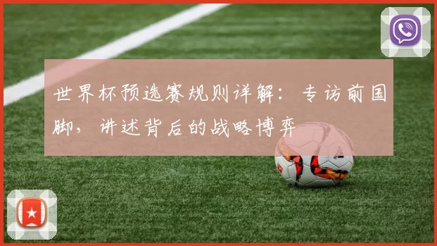 世界杯预选赛规则详解：专访前国脚，讲述背后的战略博弈