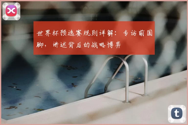 世界杯预选赛规则详解：专访前国脚，讲述背后的战略博弈