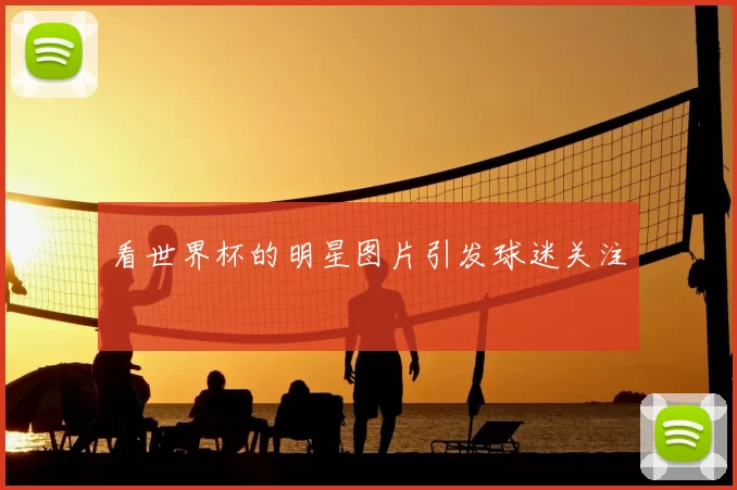看世界杯的明星图片引发球迷关注