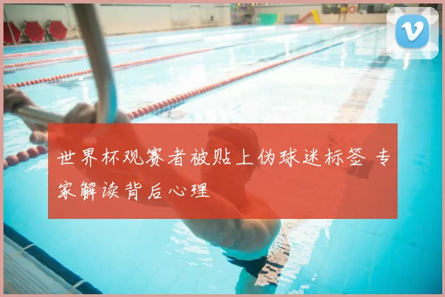 世界杯观赛者被贴上伪球迷标签 专家解读背后心理