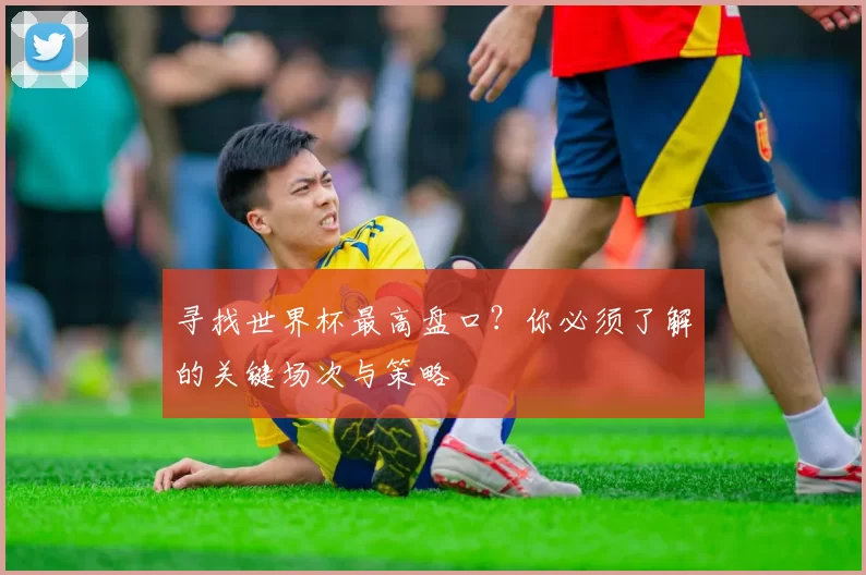寻找世界杯最高盘口?你必须了解的关键场次与策略