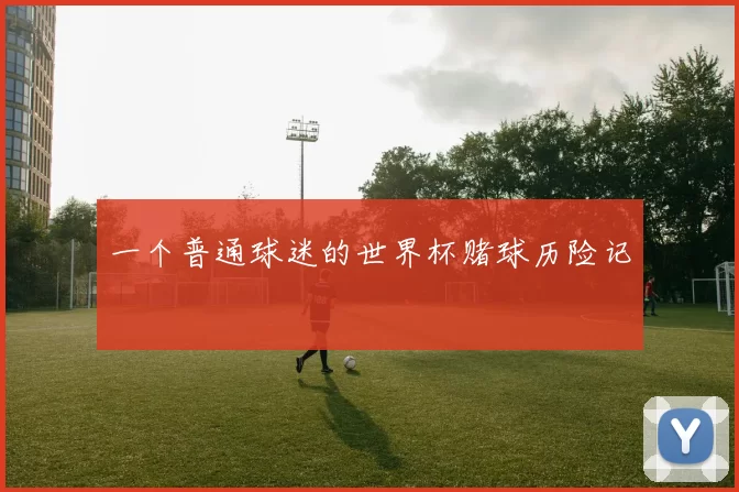 一个普通球迷的世界杯赌球历险记