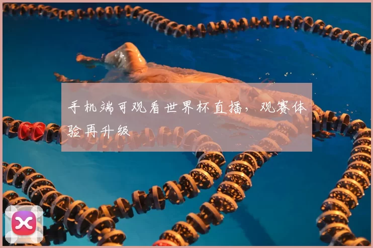 手机端可观看世界杯直播，观赛体验再升级