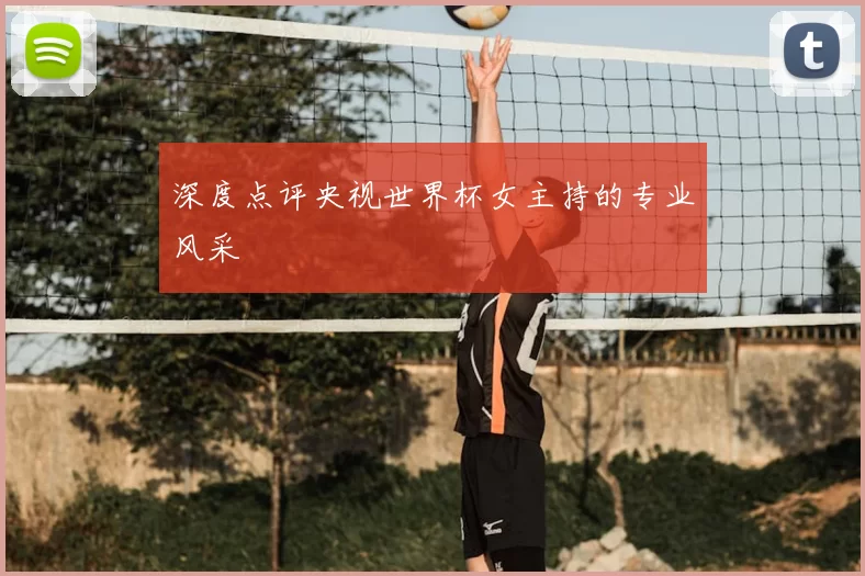 深度点评央视世界杯女主持的专业风采